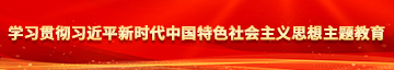 猛插小逼逼大篇学习贯彻习近平新时代中国特色社会主义思想主题教育
